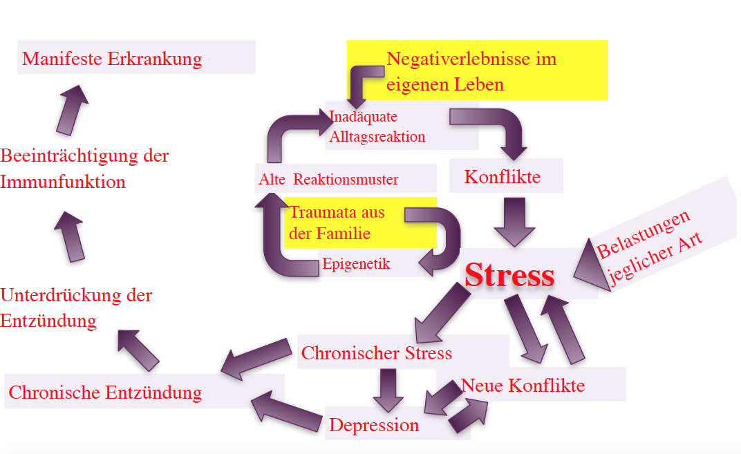 Psychoneuroimmunologie: Wie akuter Stress das Immunsystem schwächt